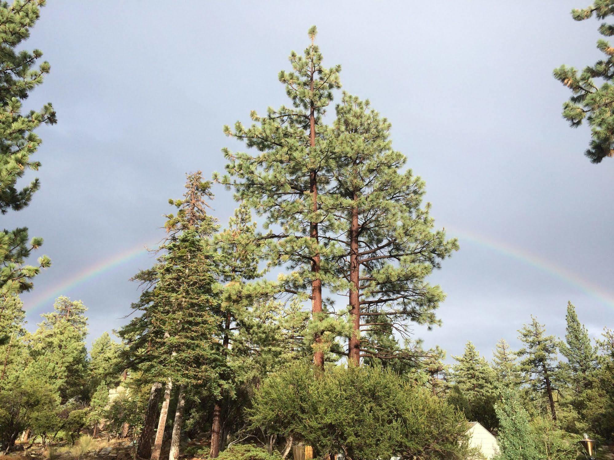 Cienaga Creek Ranch Βίλα Big Bear Lake Εξωτερικό φωτογραφία