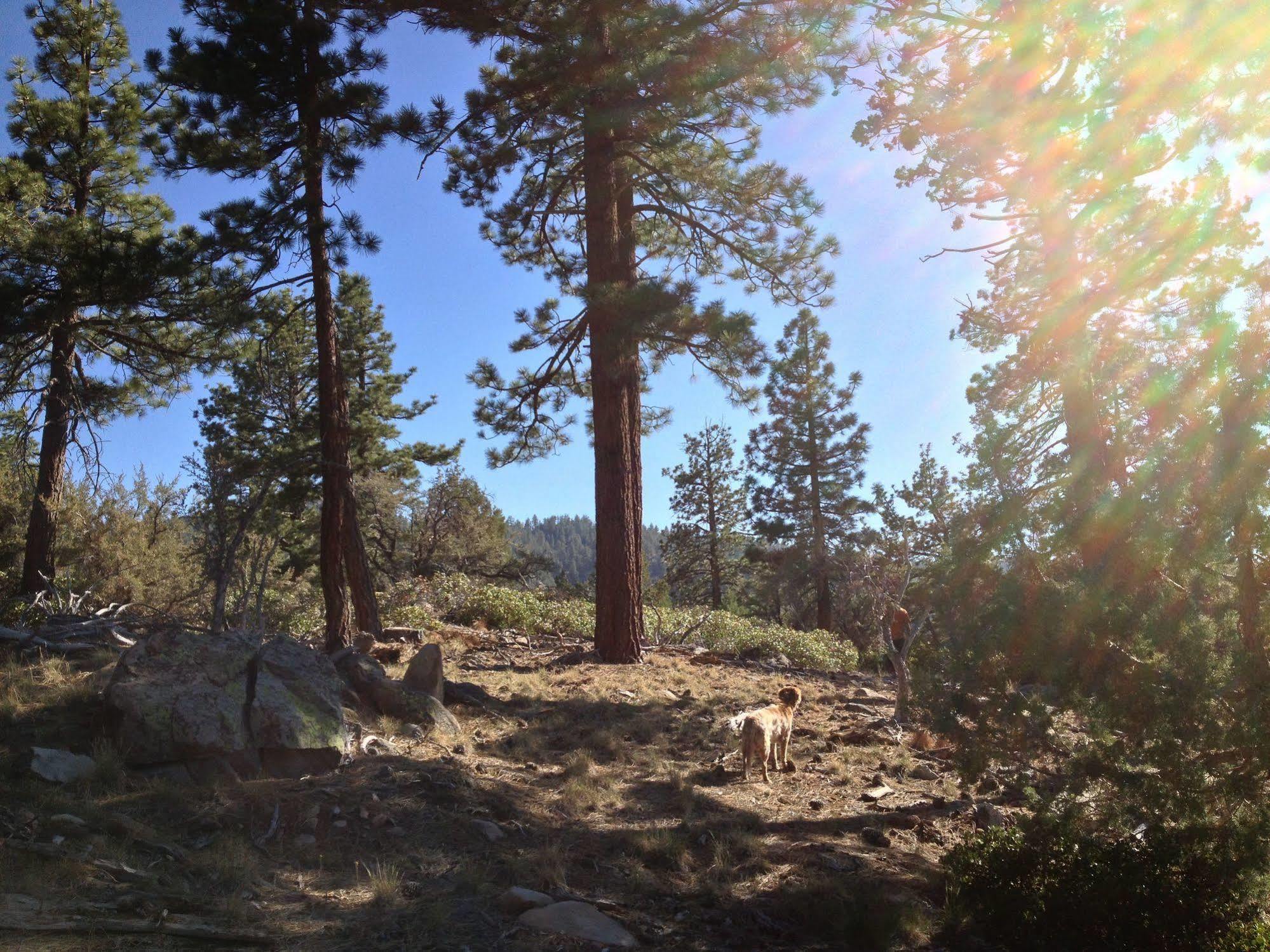 Cienaga Creek Ranch Βίλα Big Bear Lake Εξωτερικό φωτογραφία